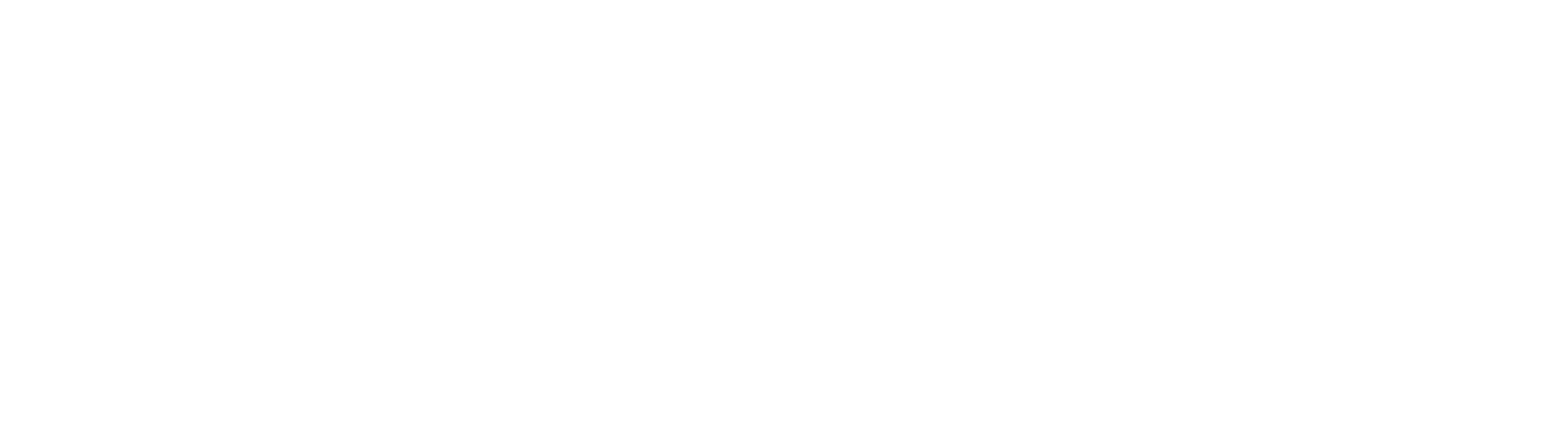 Sirius XM Radio LLC